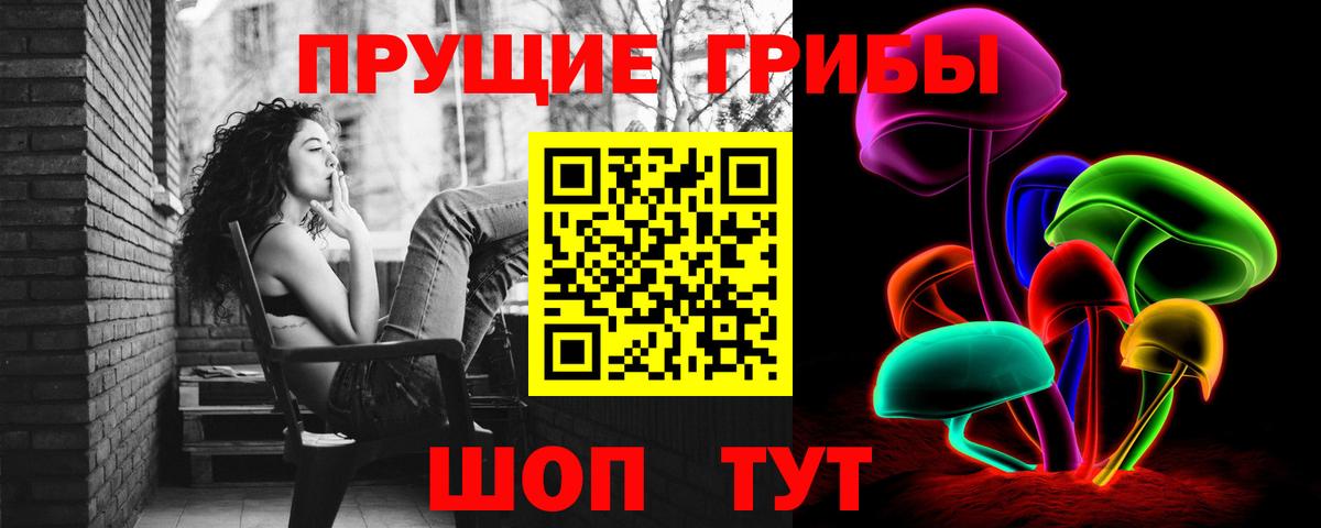 Галлюциногенные грибы MAGIC MUSHROOMS  Вход с VPN  Северобайкальск 